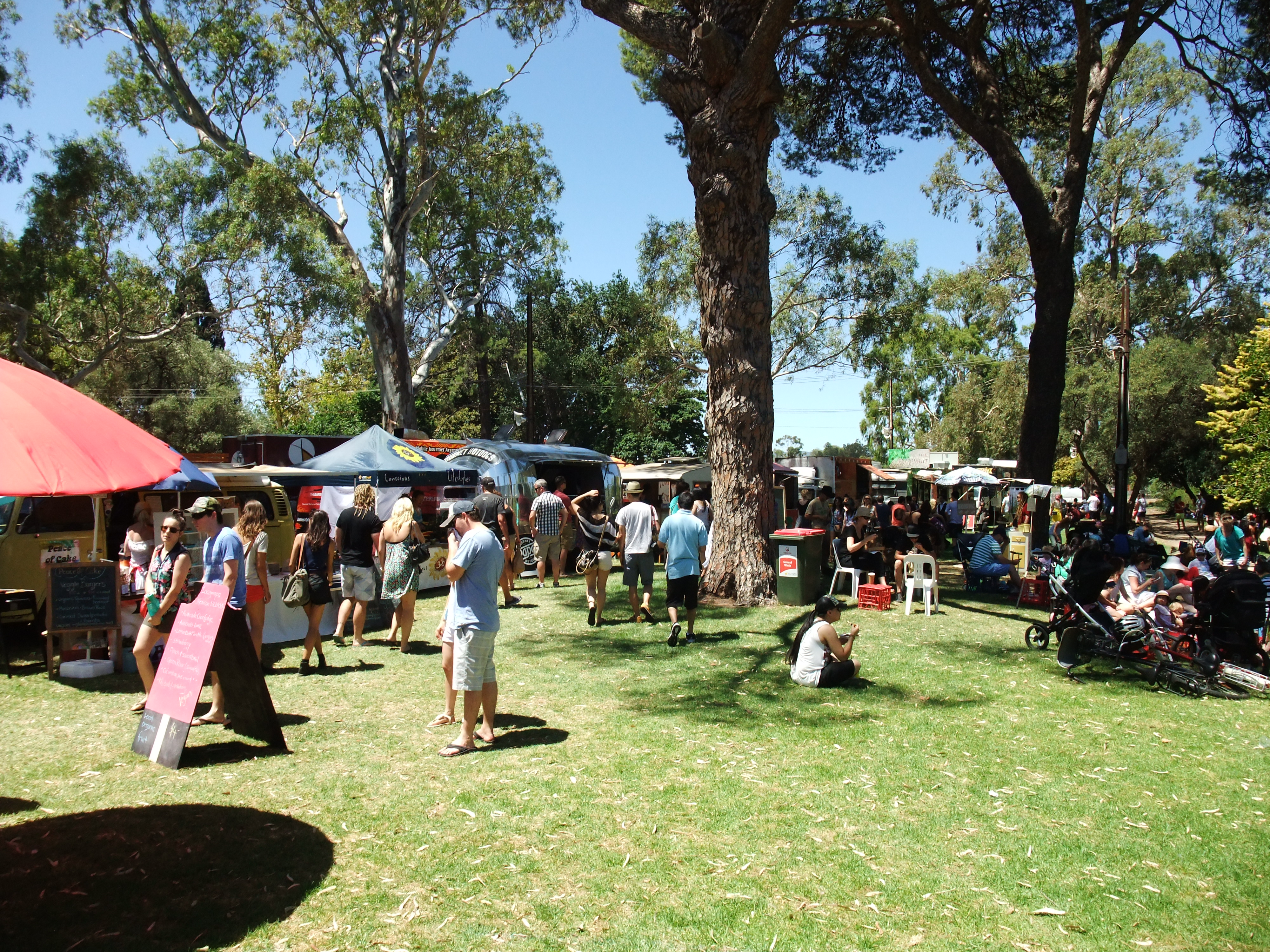 Read more about the article Season 2 Fork on the Road Recap